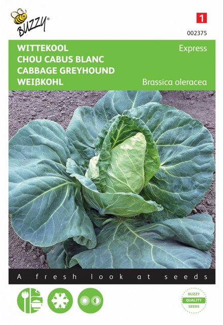 Wittekool Express zaden