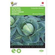 Witte kool Langedijker