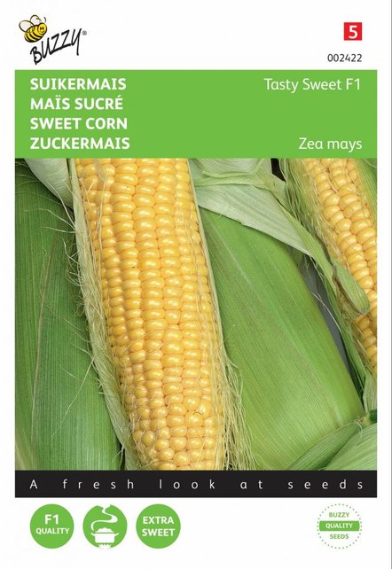 Suikermais Tasty Sweet F1 zaden