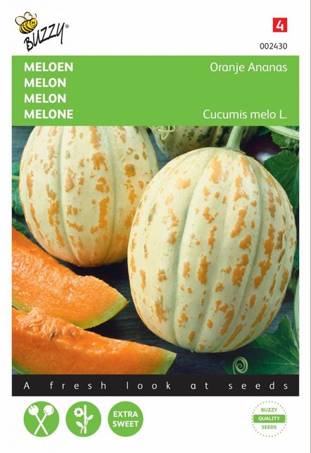 Meloen Oranje Ananas zaden Meloen Oranje Ananas zaden