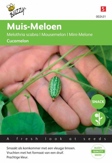 Muis meloen Cucamelon zaden