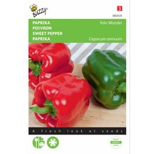 Paprika Yolo Wonder