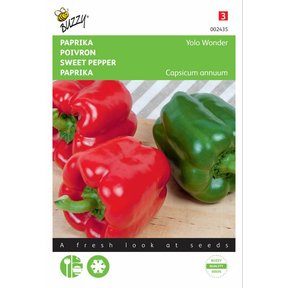 Paprika Yolo Wonder