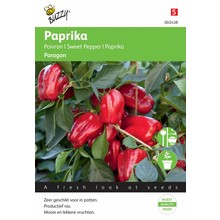 Paprika Snack Paragon