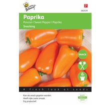 Paprika Snacking mini Oranje Naranja zaden