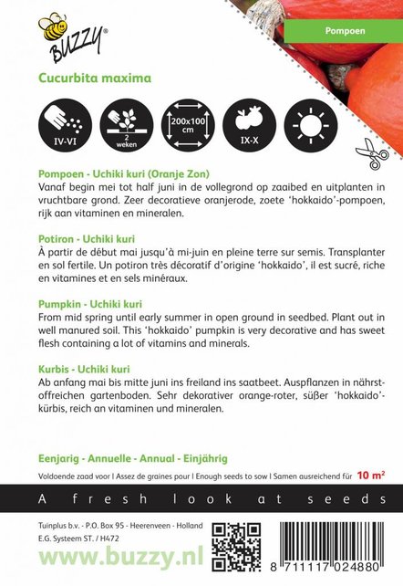 Pompoenen Uchiki Kuri zaden