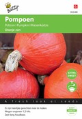 Pompoenen Uchiki Kuri zaden