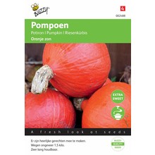 Pompoenen Uchiki Kuri