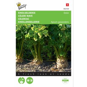 Knolselderij