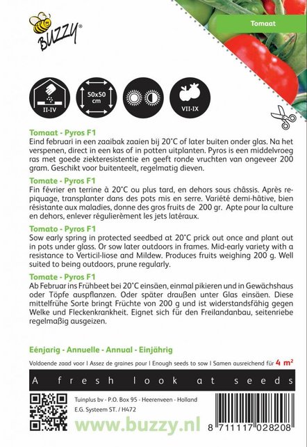 Tomaat Pyros F1 zaden