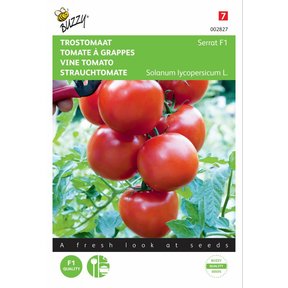 Trostomaat Serrat F1