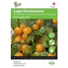 Gele Cherry tomaten