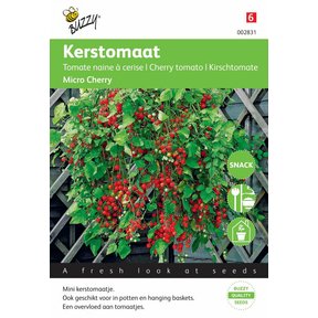 Kerstomaat