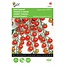 Moestuinplant Kerstomaat Supersweet 100 F1 zaden