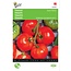 Moestuinplant Tomaat Saint Pierre, Grote Vollegrondse zaden