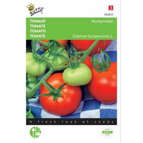 Tomaat Moneymaker