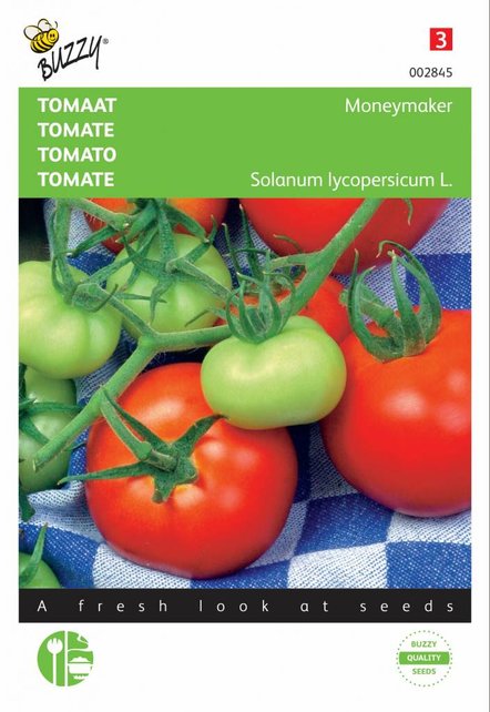 Tomaat Moneymaker zaden
