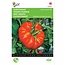 Moestuinplant Buzzy Vleestomaat Marmande VR zaden