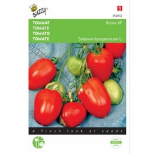 Tomaat Roma