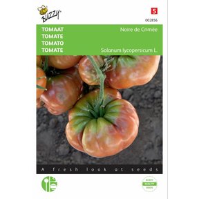 Tomaat Noire