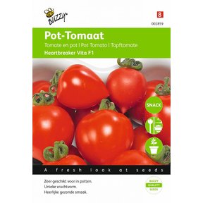 Tomaten Heartbreaker F1