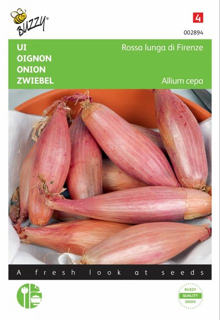 Ui Rossa lunga di Firenze zaden