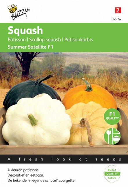 Courgette Patisson Colour mix zaden