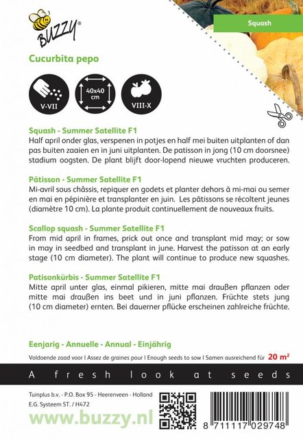 Courgette Patisson Colour mix zaden