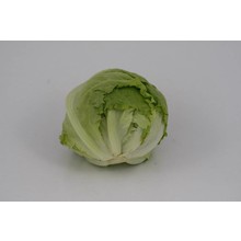 Ijsbergsla (8 planten)