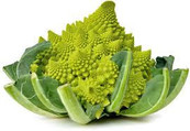 Romanesco planten