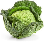 Savooie kool planten Savooie kool planten