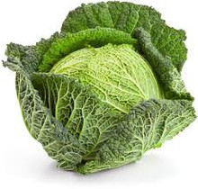 Savooie kool planten