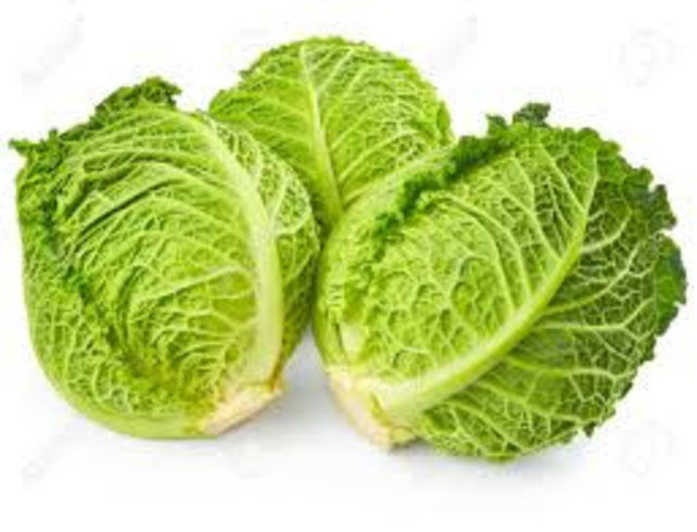 Savooie kool planten Savooie kool planten