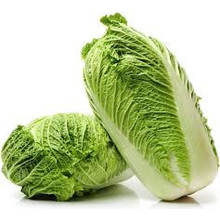 Chinese kool (8 planten)