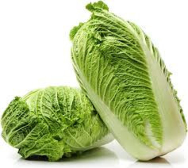 Chinese kool planten