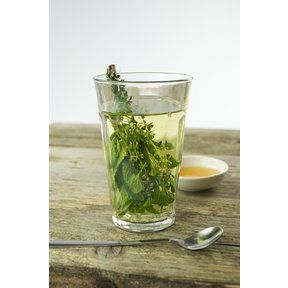 Mix theekruiden planten