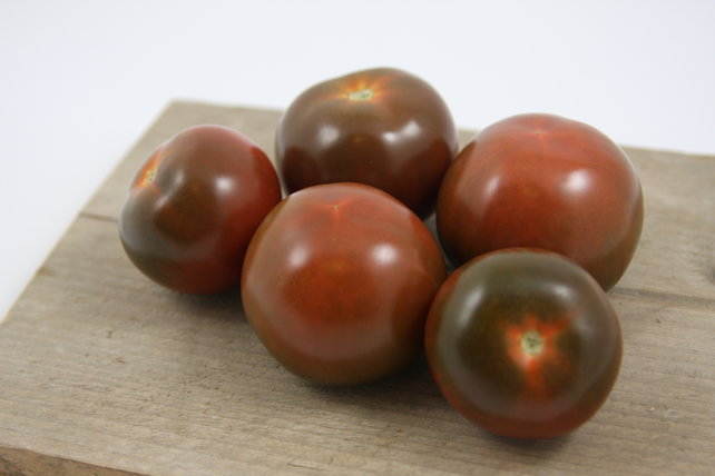 Geënte Chocolade 8 tomaten planten kopen – plugplanten moestuin