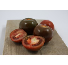 Geënte Chocolade 8 tomaten planten kopen – plugplanten moestuin