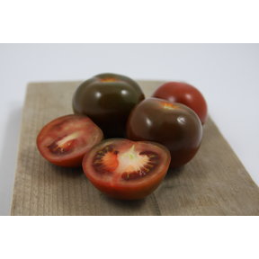 Geënte Chocolade 8 tomaten planten kopen – plugplanten moestuin