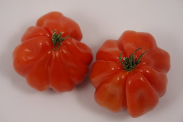 Geënte Cour de Boeuf vleestomaat