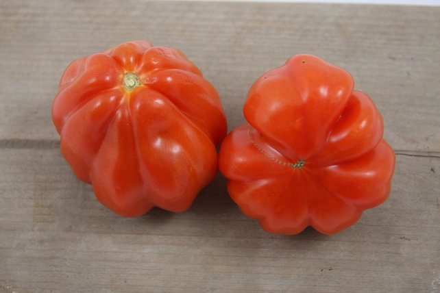 Geënte Cour de Boeuf vleestomaat