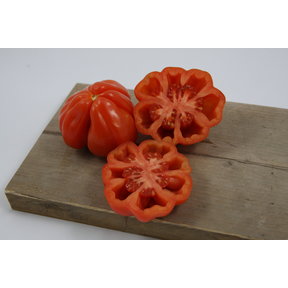 Geënte Cour de Boeuf tomaat (8 planten)