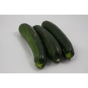 Courgette (8 planten)