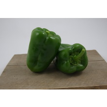 Groene paprika (8 planten)