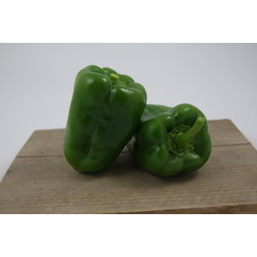 Groene paprika (8 planten)