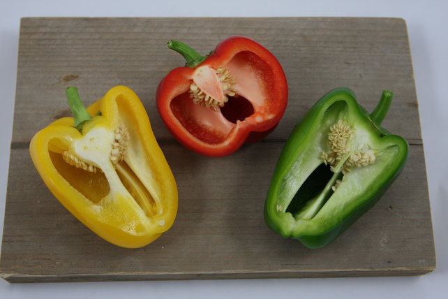 Groene paprika planten