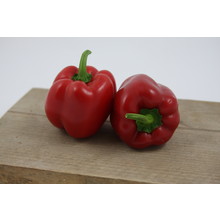 Rode paprika (8 planten)