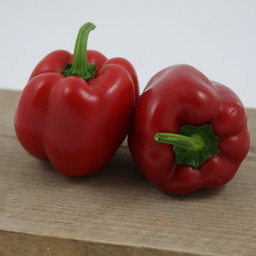Online paprikaplanten kopen, paprika kweken, telen, zaaien moestuin ...