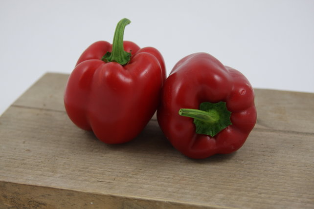 Rode paprika planten