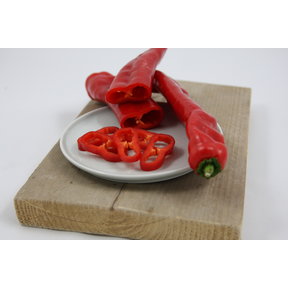 Rode puntpaprika zoet (8 planten)